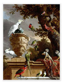 Wandbild Die Menagerie - Melchior de Hondecoeter