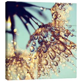 Canvas print Pusteblume   golden - Julia Delgado