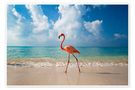 Poster Flamingo am Strand - Ian Cuming