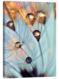 Canvas print Pusteblume   fineart - Julia Delgado