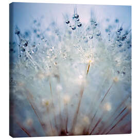 Canvas print Impaled Drops