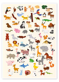 Poster Die Welt der Tiere - Kidz Collection