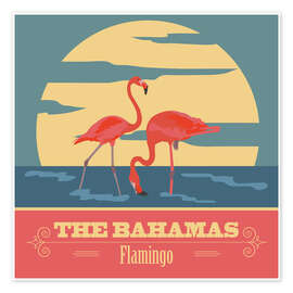 Poster Bahamas - Flamingos