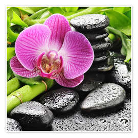 Taulu Zen stones and pink orchid