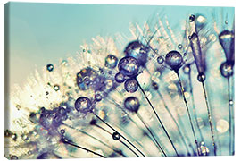 Canvas print Dandelion Dream - Julia Delgado