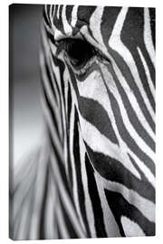 Canvas print Face of a zebra