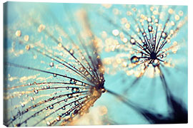 Canvas print Dandelion gold - Julia Delgado