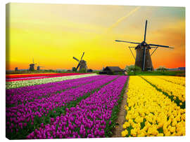 Canvas print Dutch windmills and fields of tulips