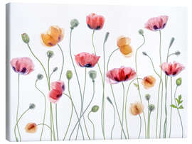 Canvas print Poppy party - Mandy Disher