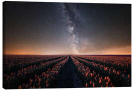 Canvas print Tulip field and Milky Way - Oliver Henze