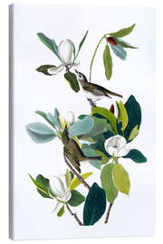 Leinwandbild Zwei Vögel mit Magnolie - John James Audubon