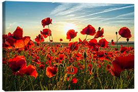 Leinwandbild Mohn am Abend - Steffen Gierok