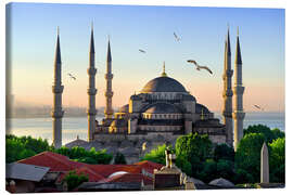 Tableau sur toile The blue mosque in Istanbul