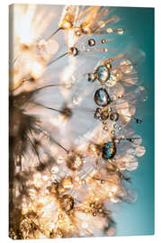 Canvas print Dandelion summer in turquoise gold - Julia Delgado