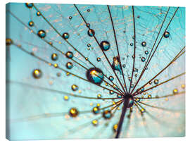 Canvas print Dandelion - Umbrella Details - Julia Delgado