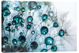 Canvas print Dandelion Drop Gloss in Blue Turquoise - Julia Delgado