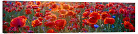 Canvas print Poppy field - Art Couture