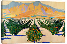 Canvas print South African Orange Orchards - Guy Kortright