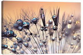 Canvas print Blowball kissed by the rain - Julia Delgado