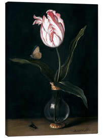 Canvas print The 'summer beautiful' tulip - Balthasar van der Ast