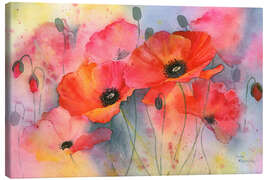 Canvas print Deep red poppy - Rachel McNaughton