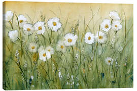 Canvas print Daisies in Spring I - Tim O'Toole