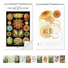 Wandkalender Ernst Haeckel Kalender - The Art of Nature 2025 - Ernst Haeckel