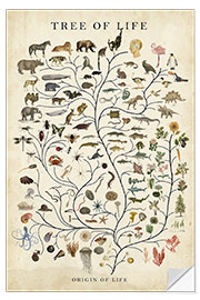 Sticker mural Tree of Life - Studio W