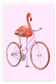 Poster Flamingo-Rad - Jonas Loose