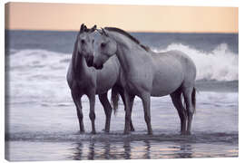 Lienzo Caballos blancos en la playa - Wiebke Haas