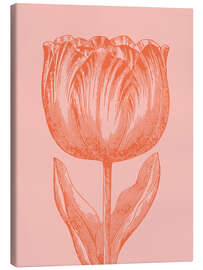 Canvas print Apricot spring tulip - apricot and birch