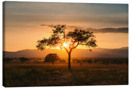 Canvas print Sunset in the savannah of the Kidepo Valley, Uganda - Marcel Gross