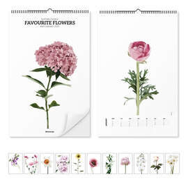 Wandkalender Blumenkalender - Favourite Flowers 2025