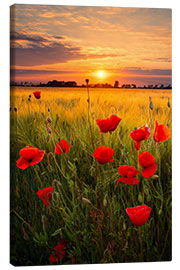 Canvas print Summer evening - Dave Derbis