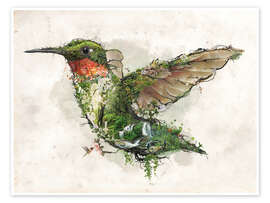 Tableau Colibri - Barrett Biggers