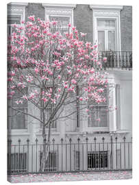 Leinwandbild Magnolienbaum, London - Assaf Frank