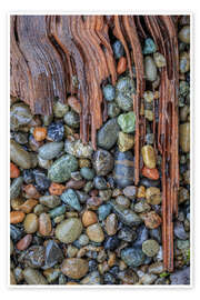 Taulu Driftwood and beach rocks - Jaynes Gallery