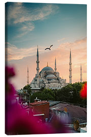 Tableau sur toile Seagull over Sultan Ahmed Mosque in Istanbul - Marcel Gross