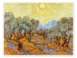 Veggbilde Olive Trees with Yellow Sky and Sun - Vincent van Gogh