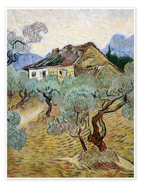 Tableau The White Cottage Among the Olive Trees, 1889 - Vincent van Gogh