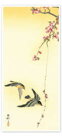 Dørplakat Cherry blossom with birds - Ohara Koson