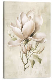 Leinwandbild Magnolien-Frühlingsromanze II - Andrea Haase