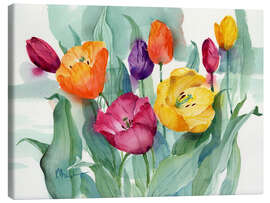 Canvas print Mixed Tulips - Paul Brent