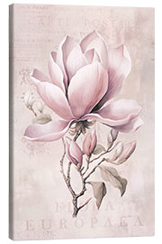 Leinwandbild Magnolia Romance II - Andrea Haase