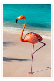 Poster Flamingo am Strand