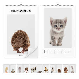 Wandkalender Jolly Animals Kalender 2025 - Animal Kids Collection