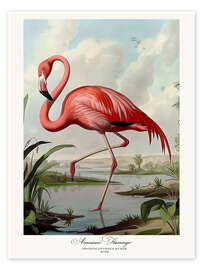 Poster Amerikanischer Flamingo nach Audubon I - TAlex