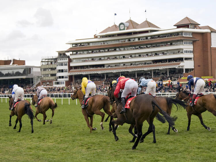 Places your bets at Newbury Racecourse