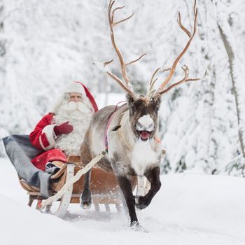 21 destinos perfectos para una Navidad con niños