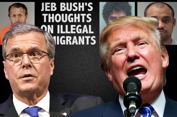 Jeb Bush, Donald Trump